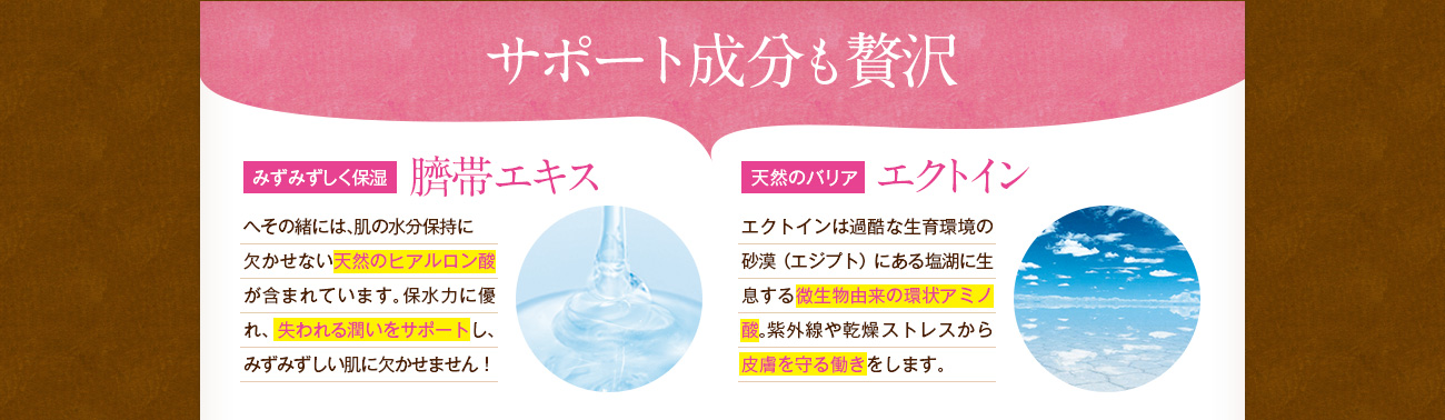 サポート成分も贅沢