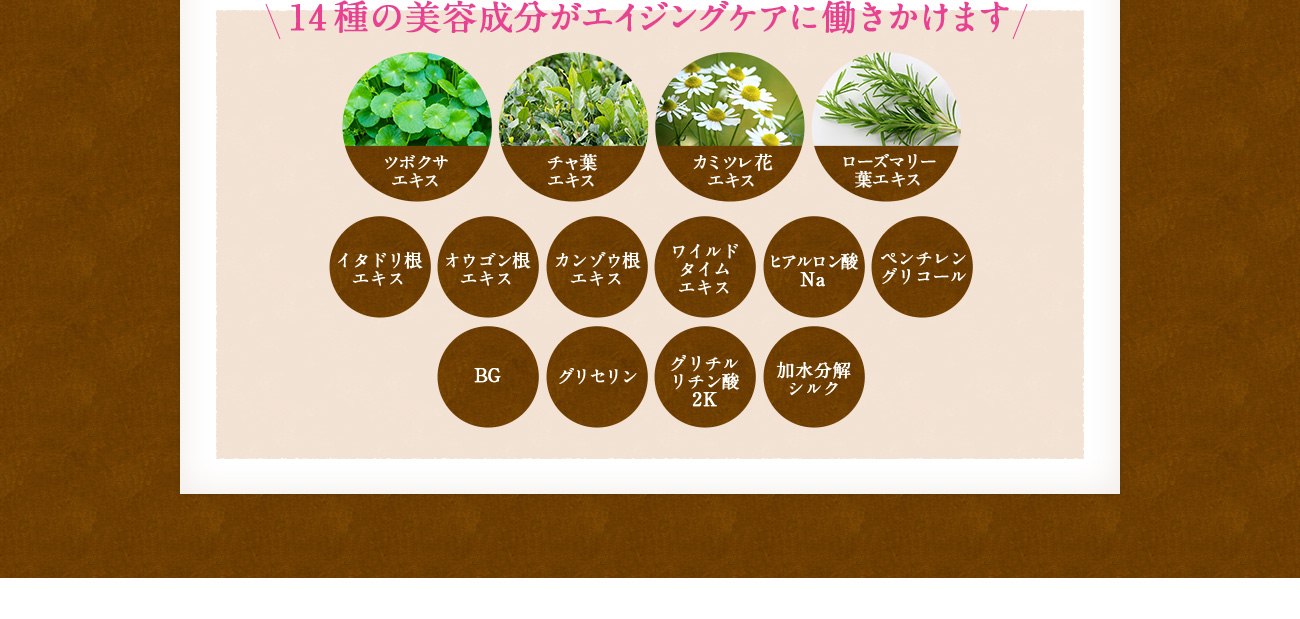 14種類の美容成分がエイジングケアに働きかけます